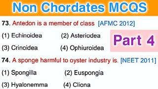 Part(4) animal kingdom mcq for neet || animal kingdom mcq || Nonchordates mcq