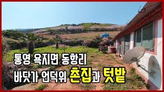 (1020)통영촌집 욕지면  동항리 바닷가 언덕위 촌집과 텃밭 토지