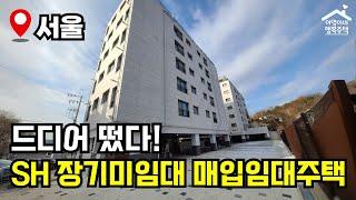 "월 10만원" 방 3개, 신축, 초역세권  2025년 1차 장기미임대 매입임대주택  모집공고 뽀개기(SH)