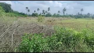 2 Acers Land For Sale l Agents Adda YouTube Channel