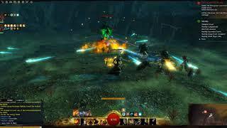 Guild Wars 2 Final of storyline. Victory or Death. Kill Zhaitan. Full version