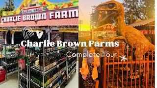 CHARLIE BROWN FARMS COMPLETE TOUR // LITTLE ROCK CALIFORNIA