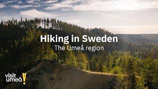 Hiking in Sweden - The Umeå region