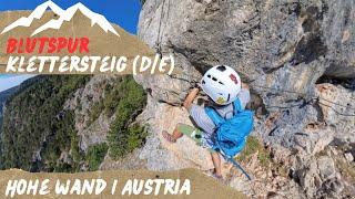 Hohe Wand - Blutspur Klettersteig (D/E) - etwas dramatischer Name  I Via Ferrata I Austria