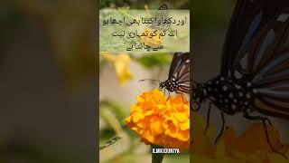 Islamic video || Ilm ki duniya || #islmaicvidoes #ilmkibatein #shortvideo #ilmkiduniya #shorts