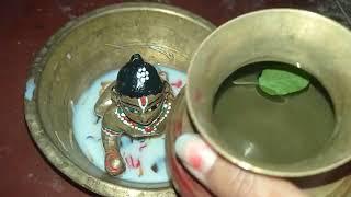 Gopu Sona Shan korche, amader laddu gopal,