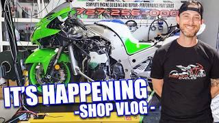 Just a Bunch of Race Bikes!  - Shop Vlog