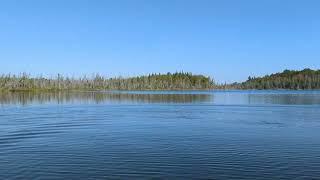 Bells Lake In Markdale Ontario Canada