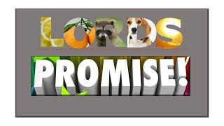 Lord's Promise  |  El Shaddai Worship Channel