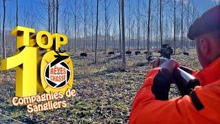 Top 10 Hunting Dreams No. 25 - November 2024 - Special Edition "Driven Wild boars groups"