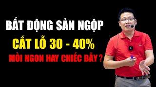 Có nên mua BẤT ĐỘNG SẢN NGỘP CẮT LỖ  30 - 40%? Mồi ngon hay chiếc bẫy? | Dương Đình Châu