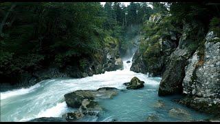 Nature's Harmony: Rivers and Calming Music for Mind and Body