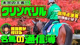 未完のまま引退したダートチャンプの正体【松浪大樹のMコラ】担当者が付ける名馬の通信簿・第３回はクリソベリル