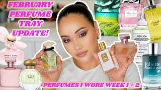 FEBRUARY PERFUME TRAY WEEK 1 + 2 UPDATE PERFUMES I WORE THIS WEEK | PERFUME COLLECTION | AMY GLAM