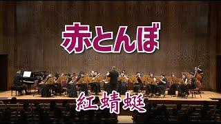 《赤とんぼ》(紅蜻蜓)：山田耕筰 作曲、武藤理恵 編曲｜Taiwan Mandolin Ensemble｜那些年 阿公阿嬤的回憶