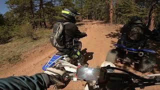 WR250R vs KLX300 Dualsport | is the wr250r really that much better?? #dualsport #dirtbike #ktm