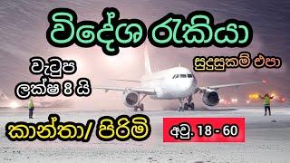 2024 විදේශ රැකියා. වැටුප ලක්ෂ 8 යි. සුදුසුකම් එපා cleaning foreign job vacancies in canada