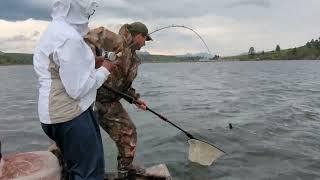 Kokanee Salmon Fishing Holter Reservoir June 2023