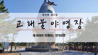 영덕 고래불 국민야영장에서 가을캠핑/캠핑/펜션/영덕여행/바람의핫도그