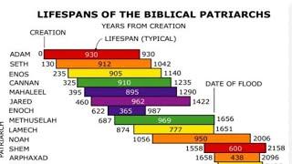 His story told through the generations (Noach)