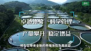 山树水质监测-让你更科学养鱼MountainTree Water Monitoring System Ensures Your FishKeeping Successful