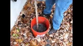 Making Wood Ash Lye from Ash to Crystals