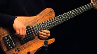 Melodic Bass Solo - 'What the Storm Brought'