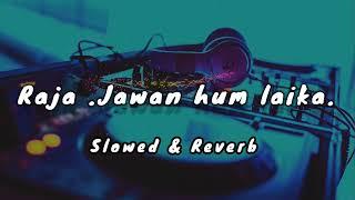 #lofi Raja Jawan Hum laika [ slowed +reverb] bhojpuri song new #Rakesh Mishra #akanshadubey Akanksha