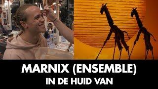 Marnix Lenselink | In de Huid Van