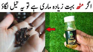 Cloves and Kalonji Recipe by MrDesi | Yummy Healthy Recipe | کلونجی کے فائدے