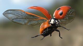 Ladybird  Flight Test - 3d model