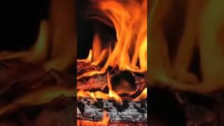 Fireside Stillness – 30s Calm by Zenvibe Echo