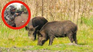 Wild Hog Hunting in Alabama 2024(Heart Catch Clean & Cook)