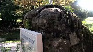 La Source Saint Roch à Notre Dame de Limon 2022