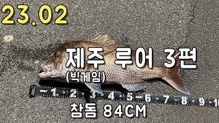 23.02 제주 루어낚시 3편 / Feat. 인생고기(참돔 84cm)