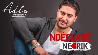 Mohamed Adly - Ndéclaré Nebrik (EXCLUSIVE Lyric Clip) | (محمد عدلي - نديكلاري نبغيك (حصريأ