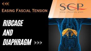 Easing Fascial Tension (Ribcage And Diaphragm)