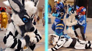 CURSED FURRY MOMENTS AT A FURRY CONVENTION {DENFUR 2021}