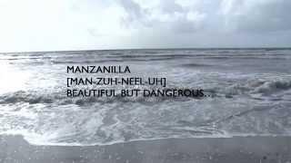 Manzanilla Sea Wall Rehabilitation Project