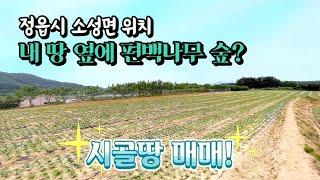 [전북토지매매] 매물번호#50 편백나무 숲 바로 옆 ! 정읍시 소성면 애당리 시골땅 토지 매매