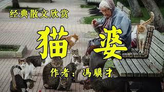 经典散文欣赏《猫婆》作者：冯骥才！经典散文《假如我有九条命》作者：余光中！