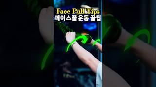 Face Pull workout tips, 후면 어깨 페이스풀 운동 자세 #shorts #facepull #facepulls #페이스풀
