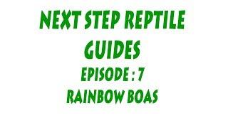 Intermediate series: Episode 7 - Rainbow Boas (Epicrates cenchria)