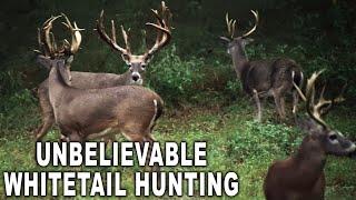 #1 TEXAS Whitetail Hunting Destination! | Texas Hidden Springs Ranch