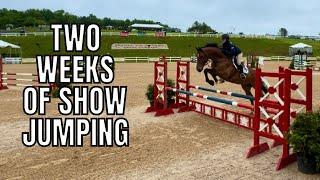 showjumping 2 horses at VHC for 2 weeks! (voiceovers, raws, and leaving out strides)