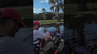 bass CRUSHES frog at the boat! #kayakfishing #bassfishing #topwater #frogfishing  #bigbass