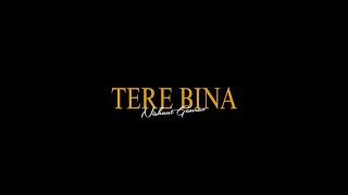 Tere Bina | Nishant Gaurav | Song