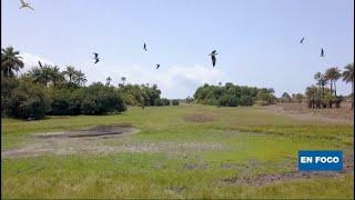 El archipiélago de Bigajós en Guinea-Bissau: un santuario de biodiversidad a proteger