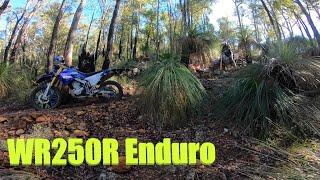 WR250R Enduro | Watertanks with friends | Beta 430RR WR450F