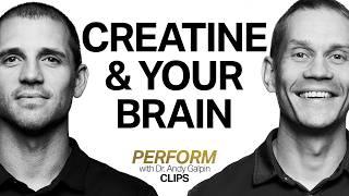 The Truth About Creatine & Brain Power | Dr. Tommy Wood & Dr. Andy Galpin